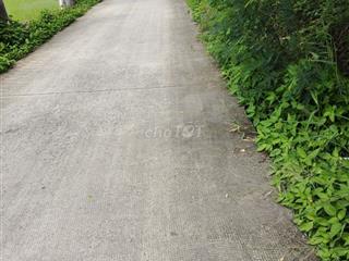Mình chính chủ bán 2235m2 có sẵn 367m2 thổ cư thuộc Mỹ Lộc , Cần Giuộc