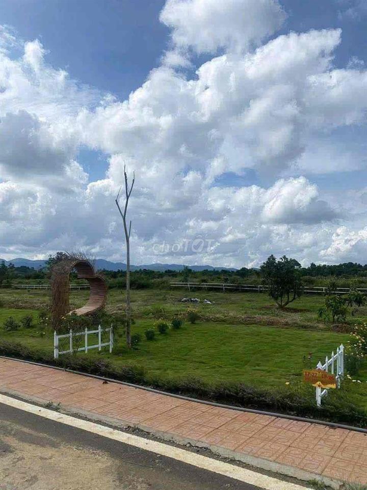 CẦN BÁN GẤP
