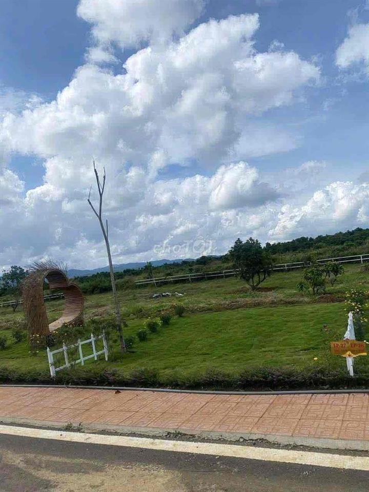 CẦN BÁN GẤP