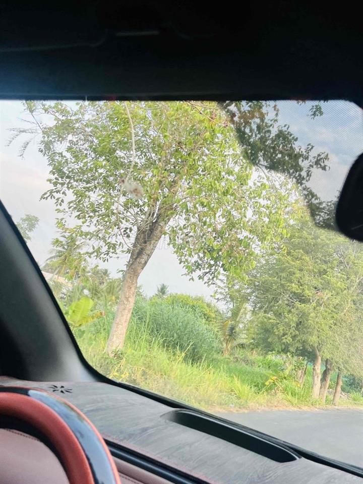 cho thuê dài hạn Dien tích 600m2