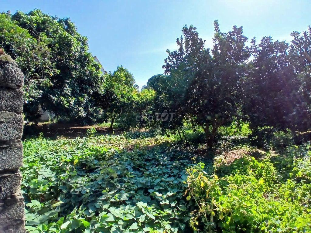 CHÍNH CHỦ CẦN BÁN ĐẤT NGHỈ DƯỠNG VILA YÊN BÀI BA VÌ