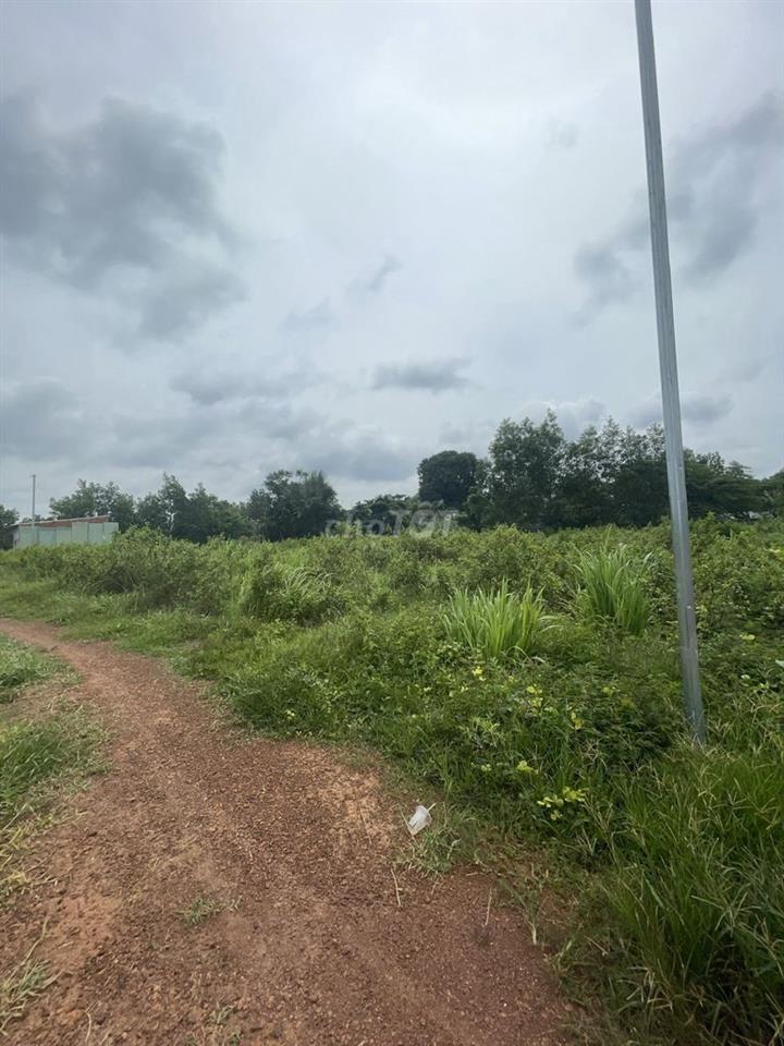 CẦN BÁN