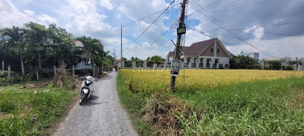 1,35 TỶ – 376M² PHƯỚC ĐÔNG, CẦN ĐƯỚC | ĐÓN HƯỞNG LỢI HẠ TẦNG QL50B