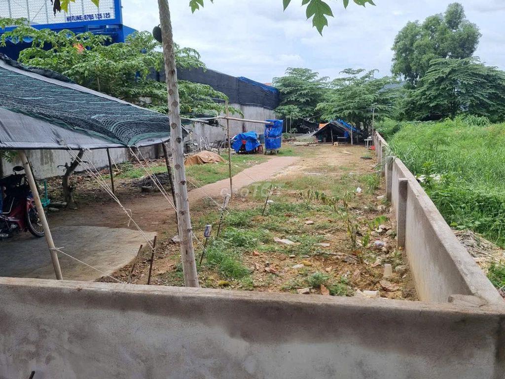 CHO THUÊ ĐẤT MẶT TIỀN – ĐƯỜNG HÙNG VƯƠNG, TAM LONG, BA RIA