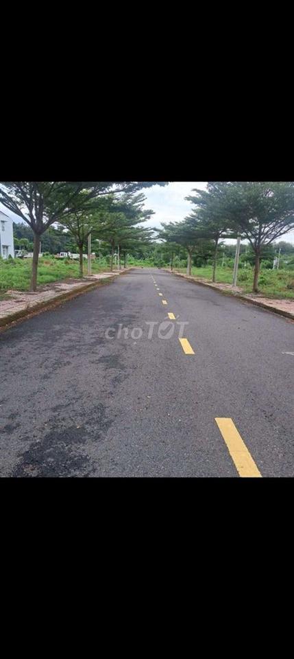 Đất Hồ Chí Minh Giá Rẻ đường oto