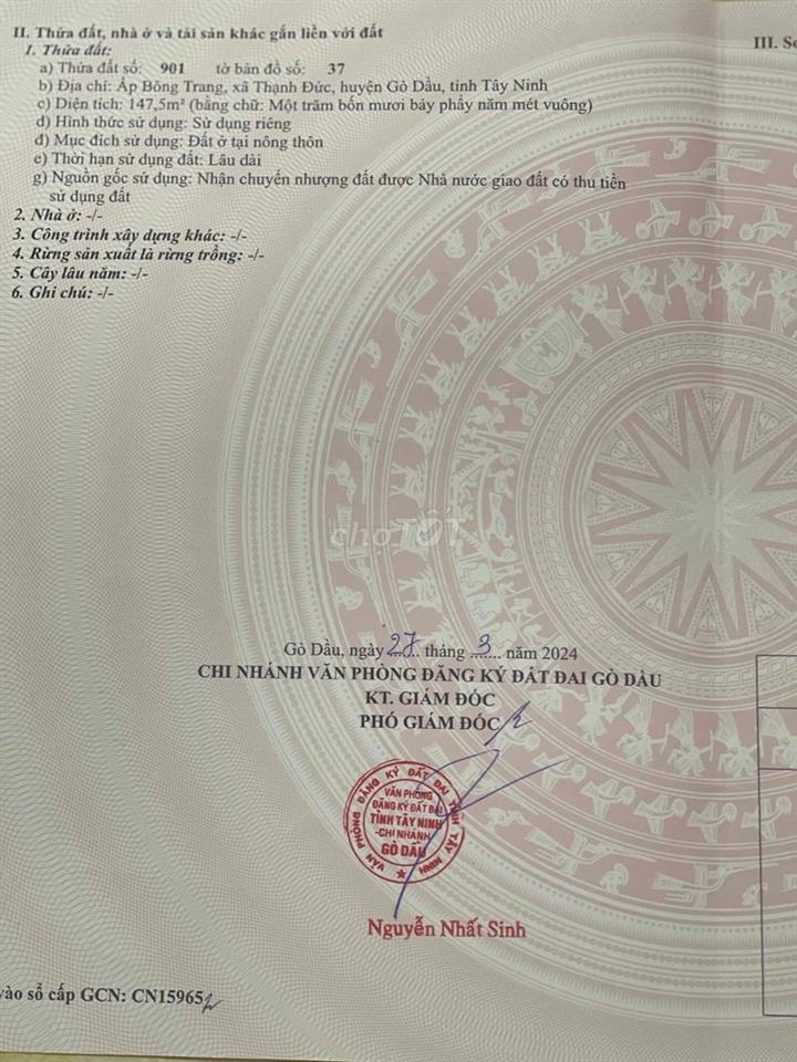 chính chủ cần bán