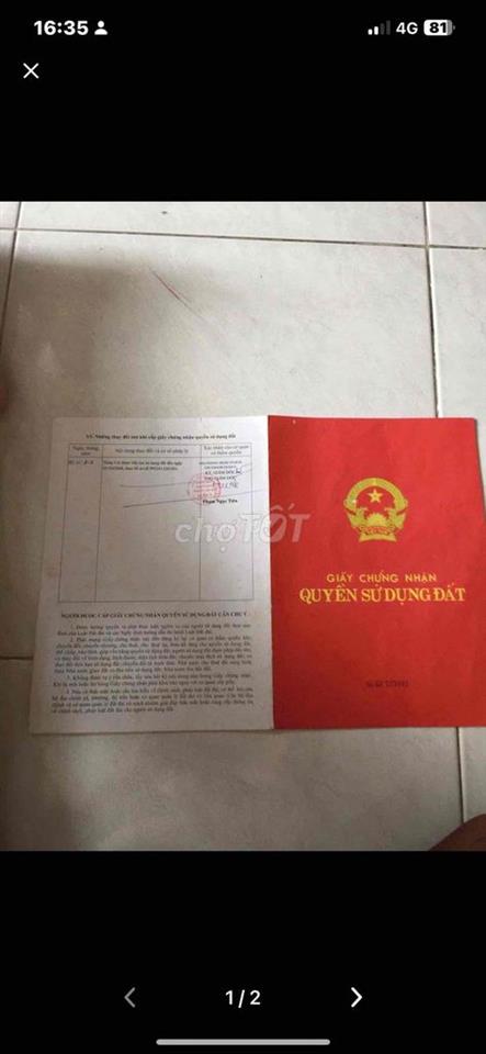 bán đất cây lâu năm