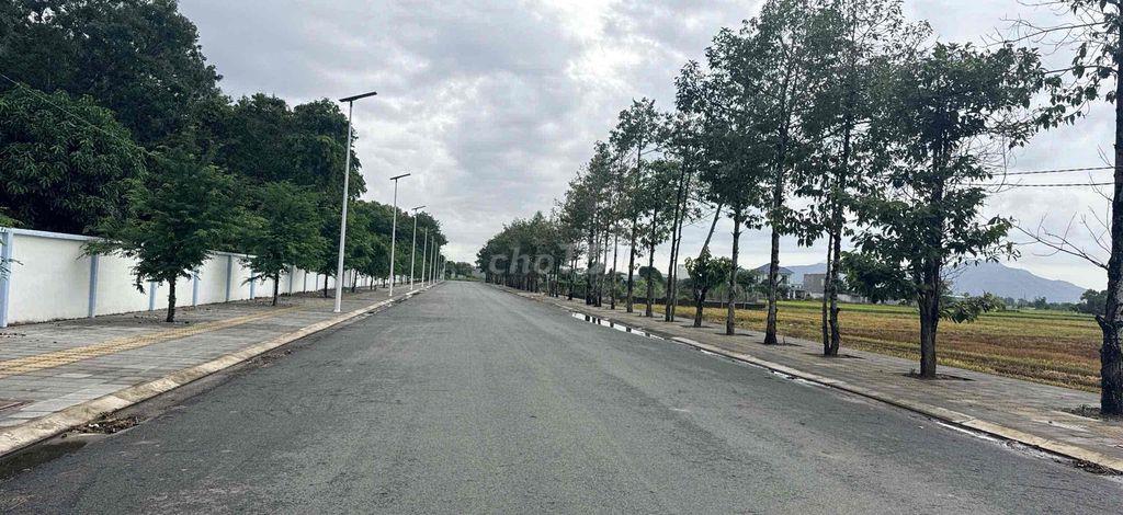 bán đất mặt tiền đường dương bạch mai