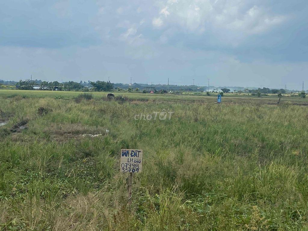 bán đất mặt tiền đường dương bạch mai