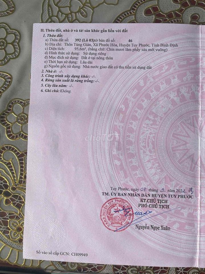 Đất chợ gò bồi