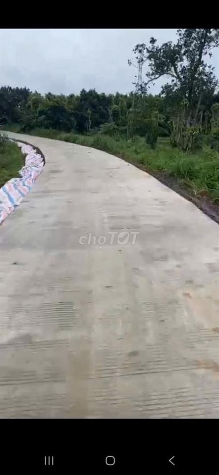 Hot Hot Chính chủ cần bán gấp đất rẫy cà phê, hấp dẫn về giá!!!!