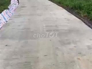 Hot Hot Chính chủ cần bán gấp đất rẫy cà phê, hấp dẫn về giá!!!!