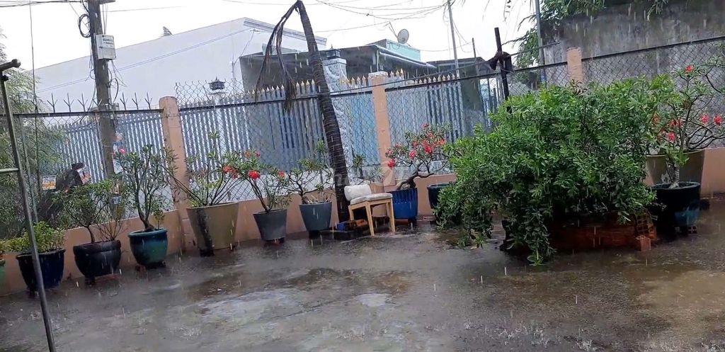 Cần Bán Gấp Căn Nhà Cấp 4 