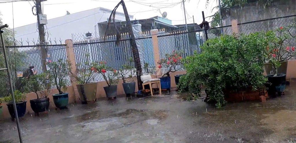CẦN BÁN GẤP CĂN NHÀ CẤP 4 TRẢ NỢ