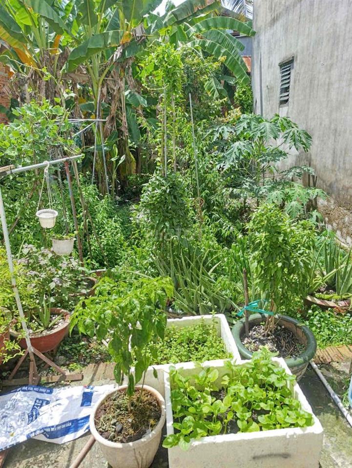 Bán đất tặng nhà