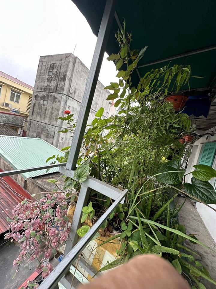 Cho thuê nhà ở