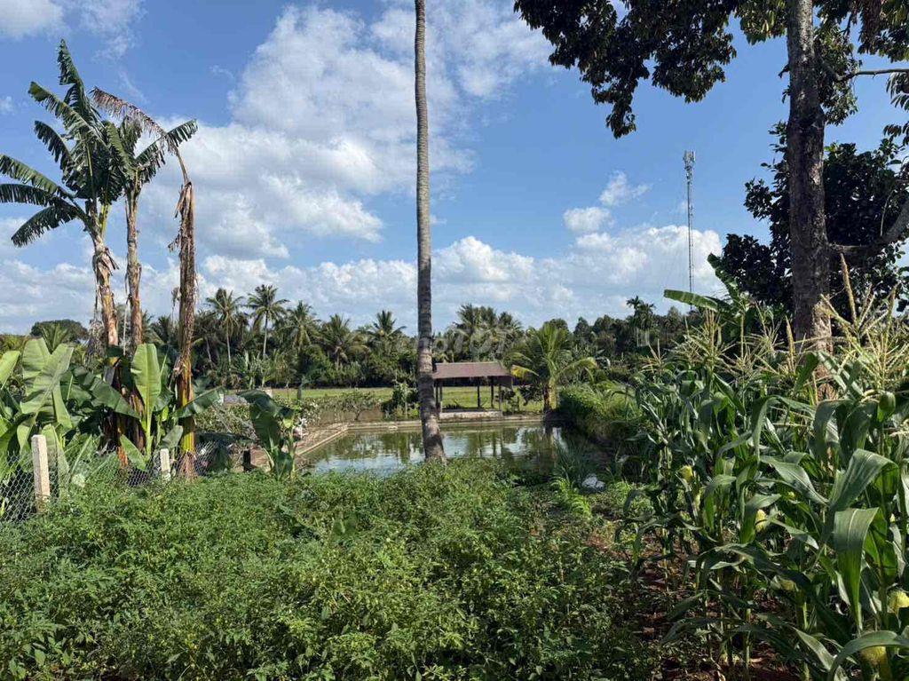 Chính chủ cần bán