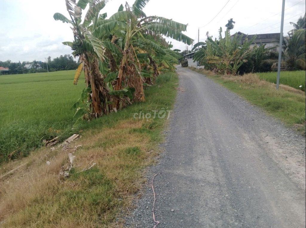 🌾🔥 CHÍNH CHỦ CẦN BÁN GẤP 7.481M² ĐẤT LÚA – MỸ THẠNH, THỦ THỪA CŨ