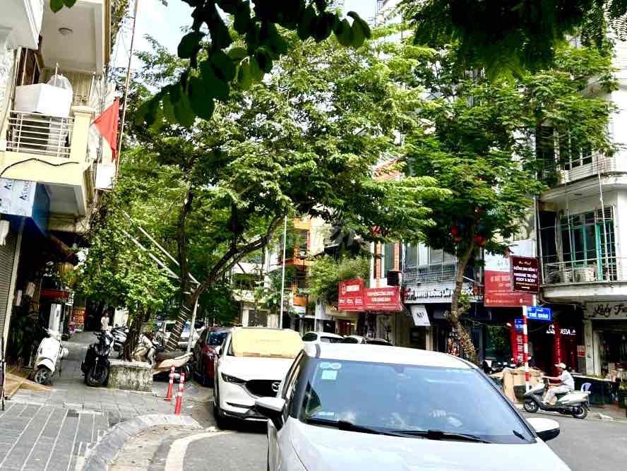 Chính chủ cho thuê nhà mặt phố 110 Tuệ Tĩnh