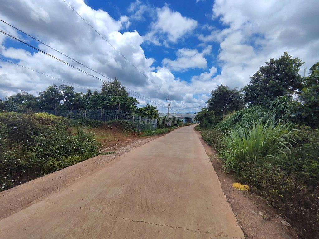 BÁN ĐẤT NÔNG NGHIỆP GẦN 2.000M² – LỘC ĐỨC CŨ, BẢO LÂM 2, LÂM ĐỒNG