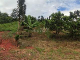 BÁN ĐẤT NÔNG NGHIỆP GẦN 2.000M² – LỘC ĐỨC CŨ, BẢO LÂM 2, LÂM ĐỒNG