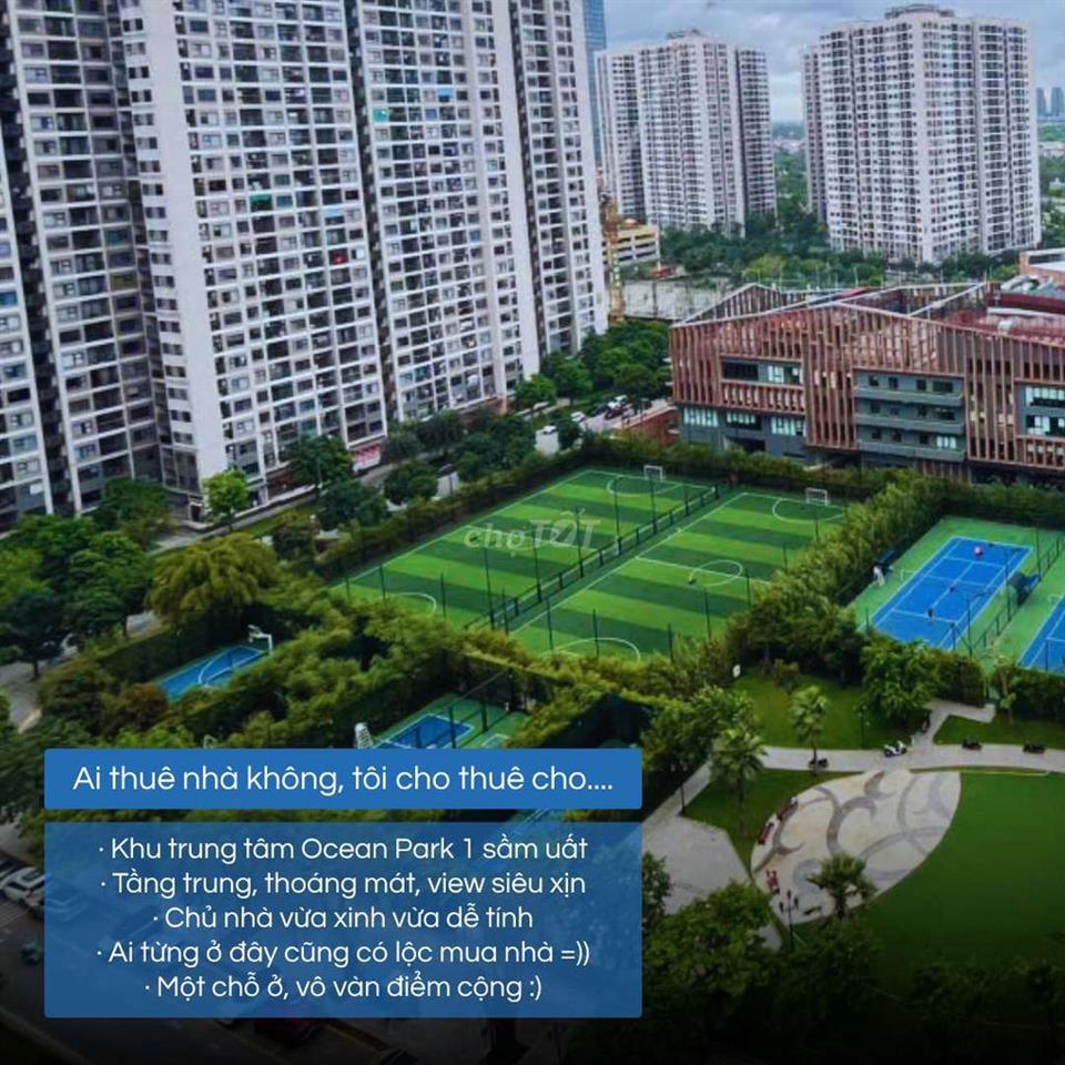 Cc cho thuê căn hộ 1n+ (1wc) toà S1.06 Ocean Park, vị trí siêu đẹp 