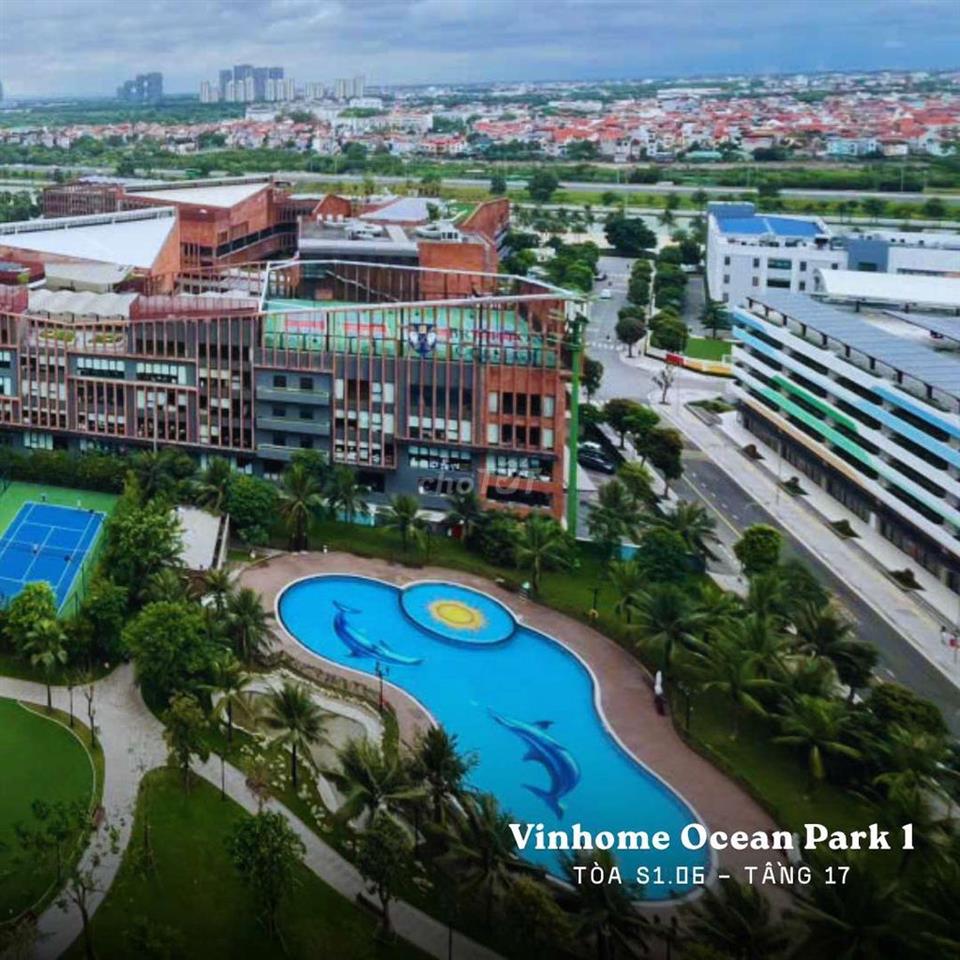 Cc cho thuê căn hộ 1n+ (1wc) toà S1.06 Ocean Park, vị trí siêu đẹp 
