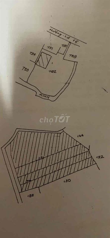 toi càn bán nhà chính  hẻm rọng thoán mát cách duòng lón 1 can