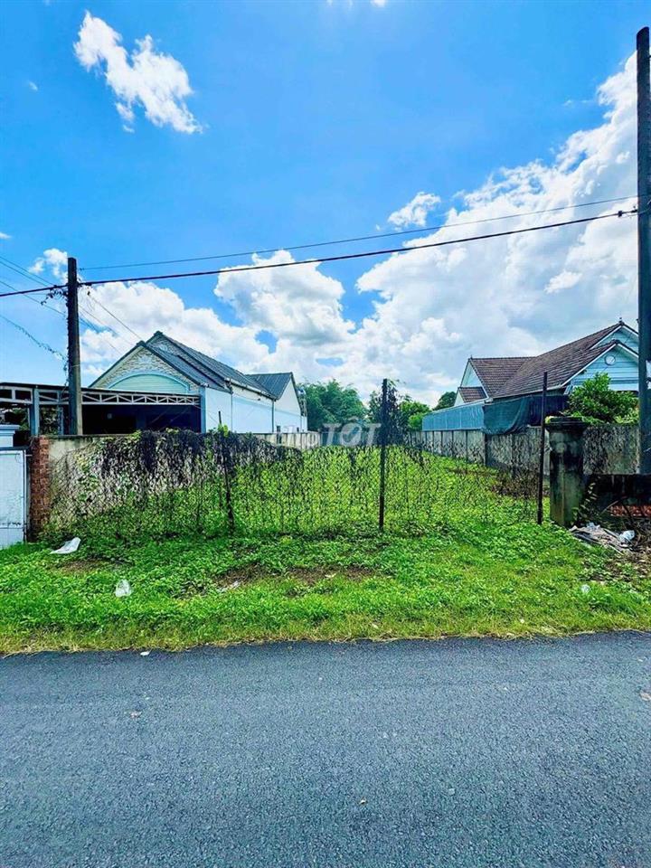 🏘️ ĐẤT NGỘP GẦN CẦU VƯỢT CỦ CHI – 390M² – 750TR – SHR