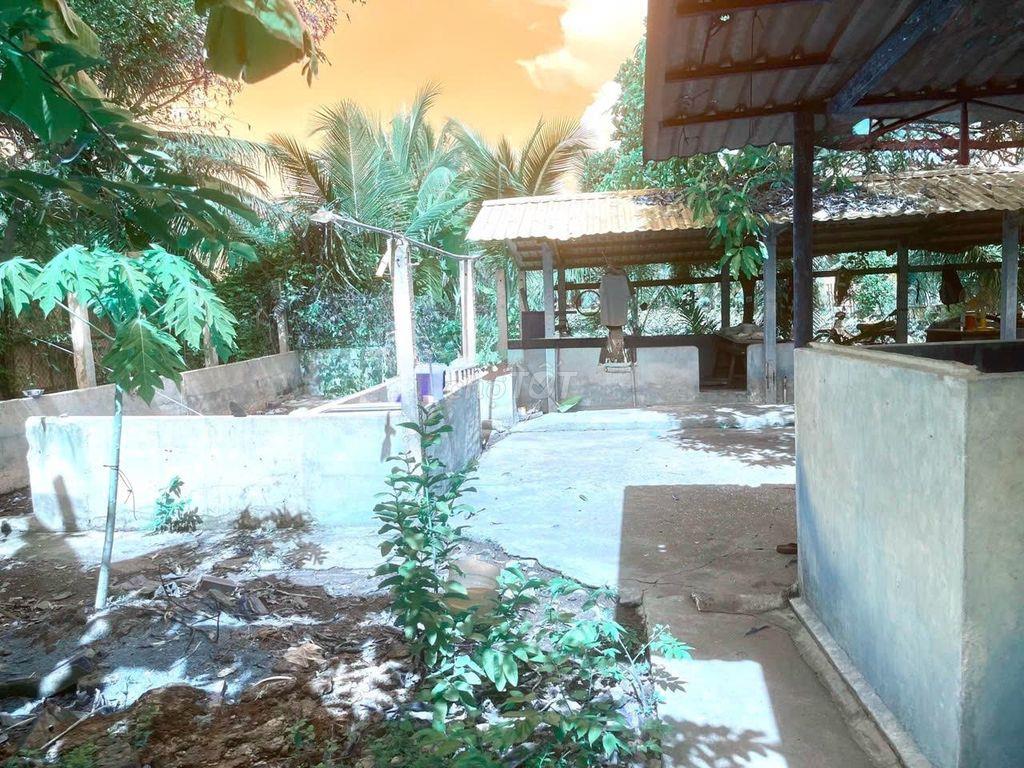 NHÀ VƯỜN CỰC ĐỈNH - THÔNG SỐ LÝ TƯỞNG 22x35M - VỊ TRÍ ĐẸP - SHR THỔ CƯ