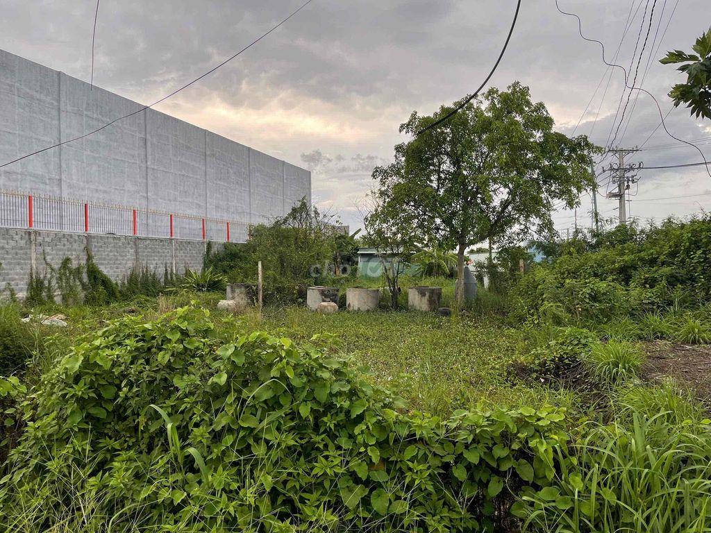 E cần bán 800m đất có 300m thổ cư