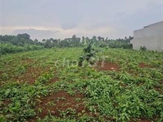 đất tphcm 1000m2 chỉ 1ty190