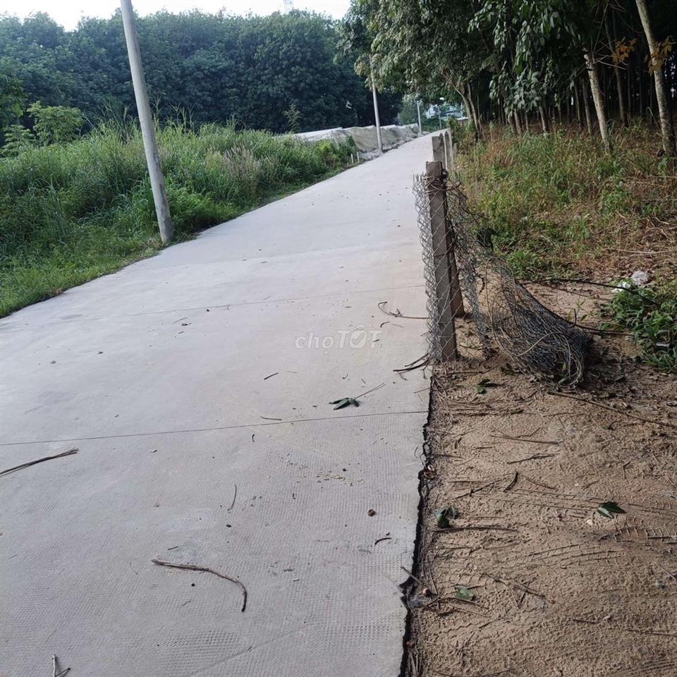 cho thuê mặt bằng kho baic