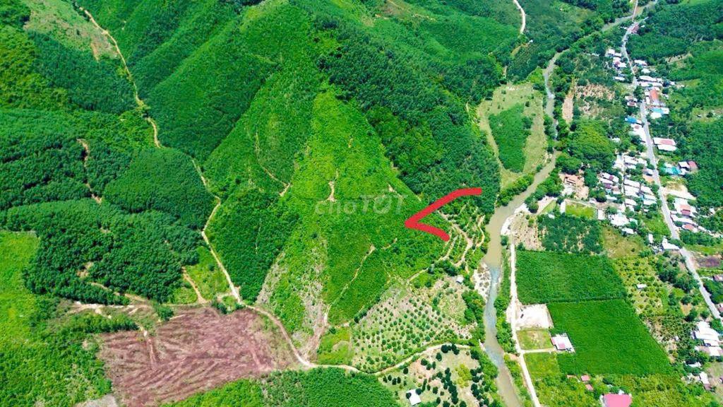 CẦN BÁN GẤP FARMSTAY SINH THÁI