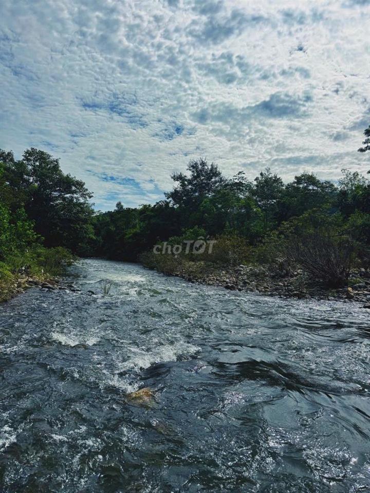 CẦN BÁN GẤP FARMSTAY SINH THÁI