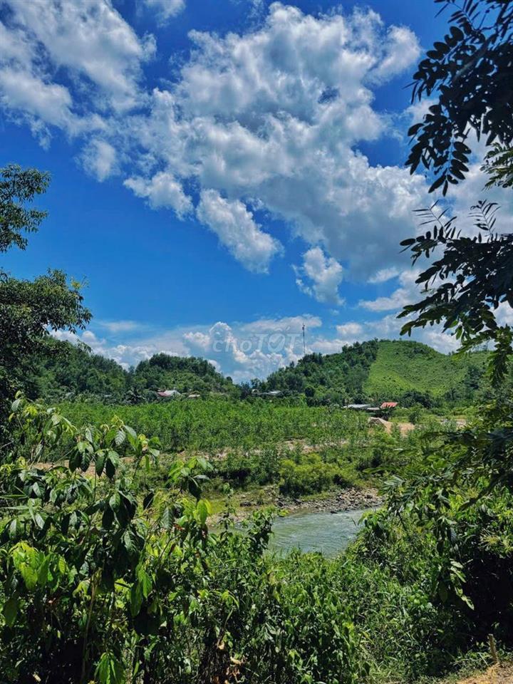 CẦN BÁN GẤP FARMSTAY SINH THÁI