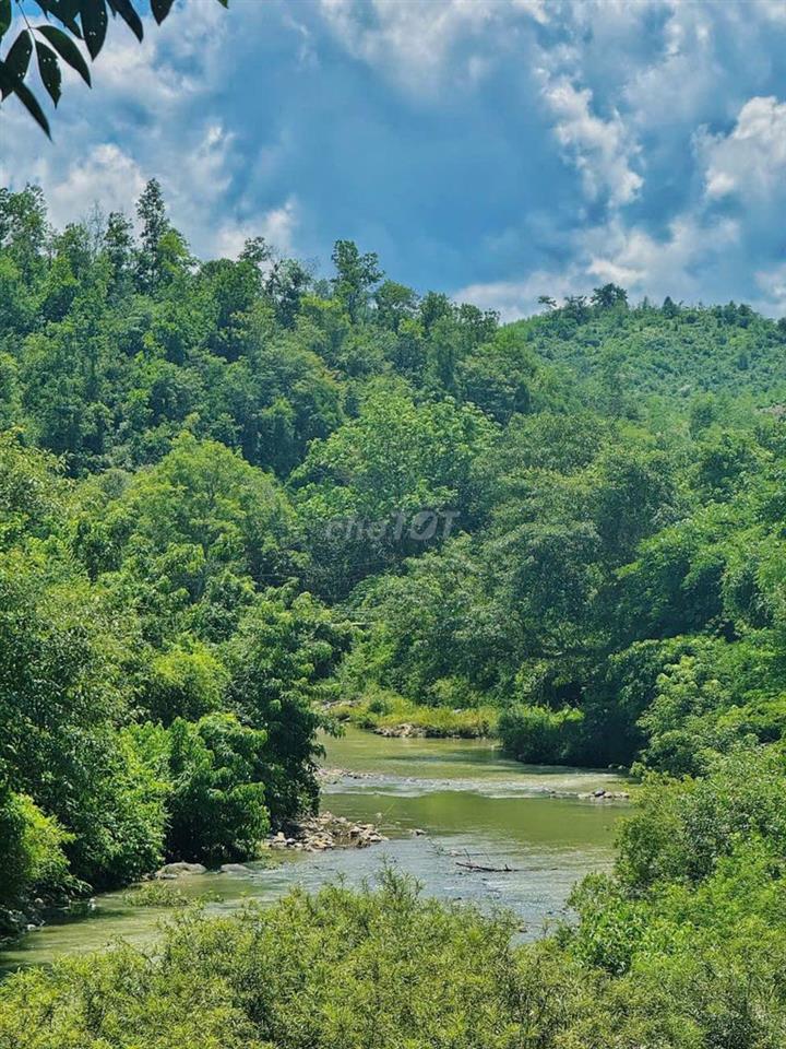 CẦN BÁN GẤP FARMSTAY SINH THÁI