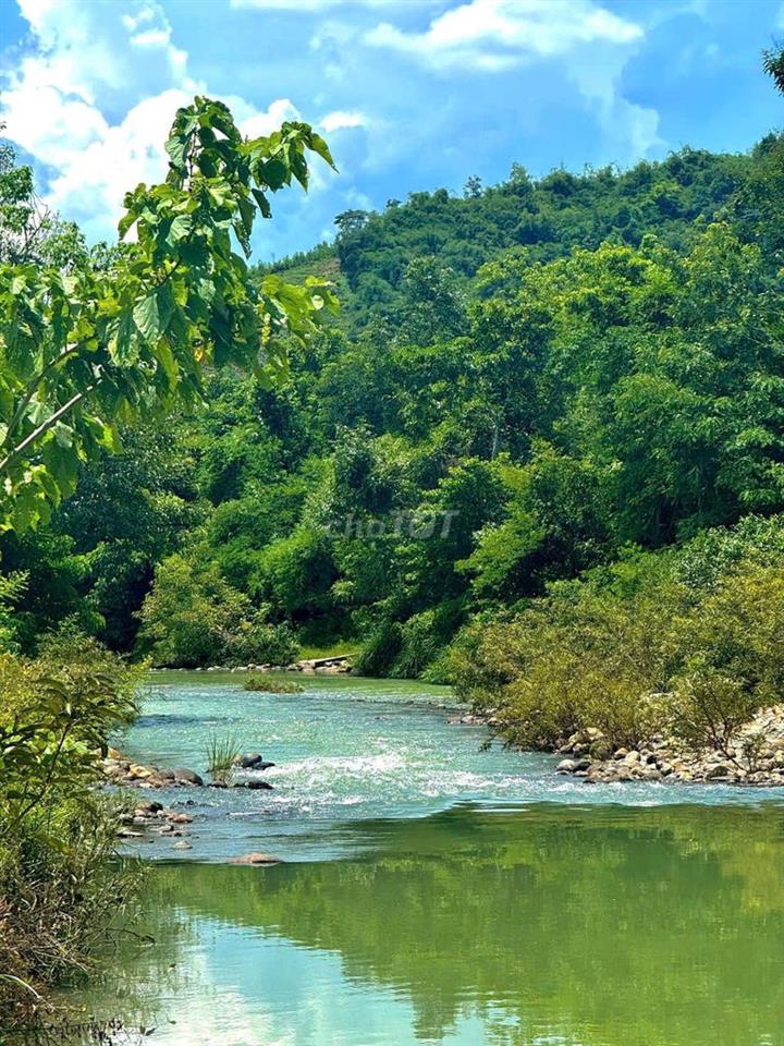 🌿 CẦN BÁN GẤP FARMSTAY SINH THÁI