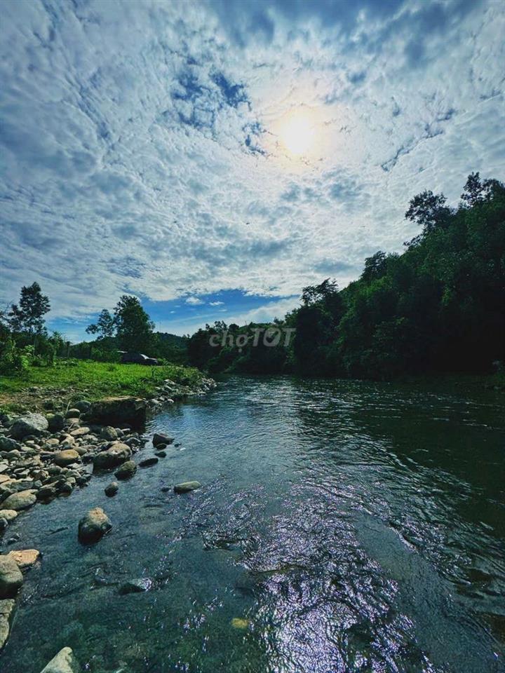 🌿 CẦN BÁN GẤP FARMSTAY SINH THÁI
