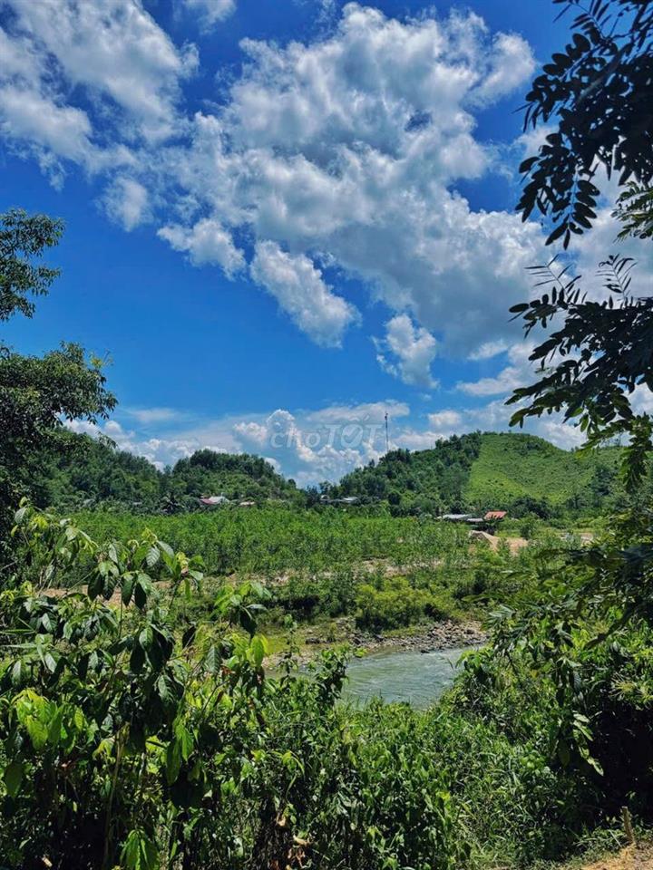 🌿 CẦN BÁN GẤP FARMSTAY SINH THÁI