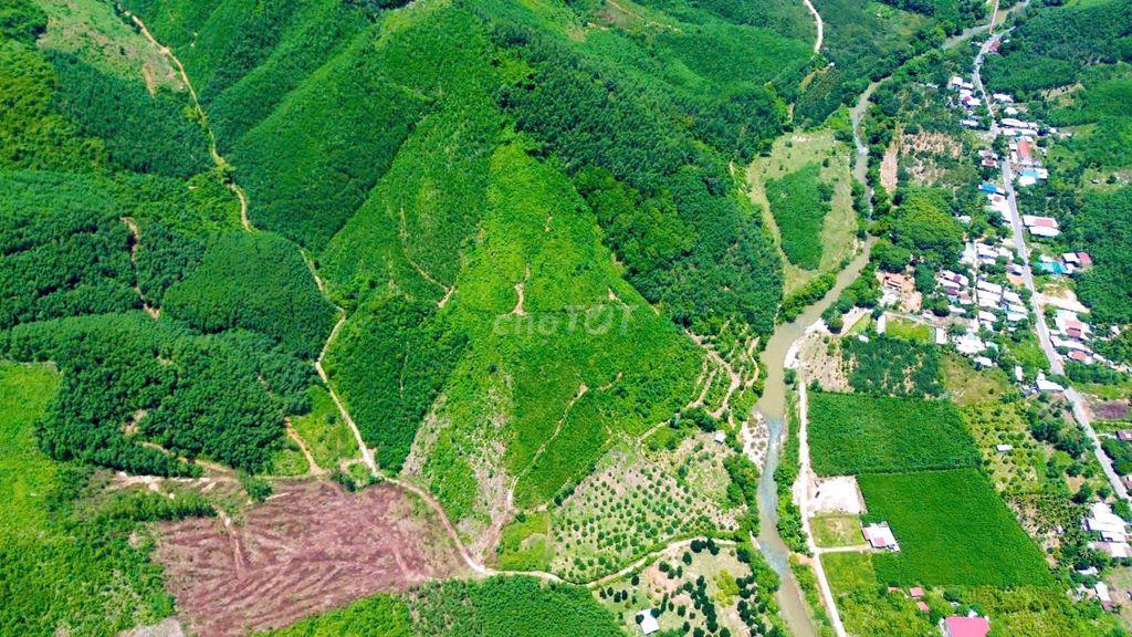 🌿 CẦN BÁN GẤP FARMSTAY SINH THÁI