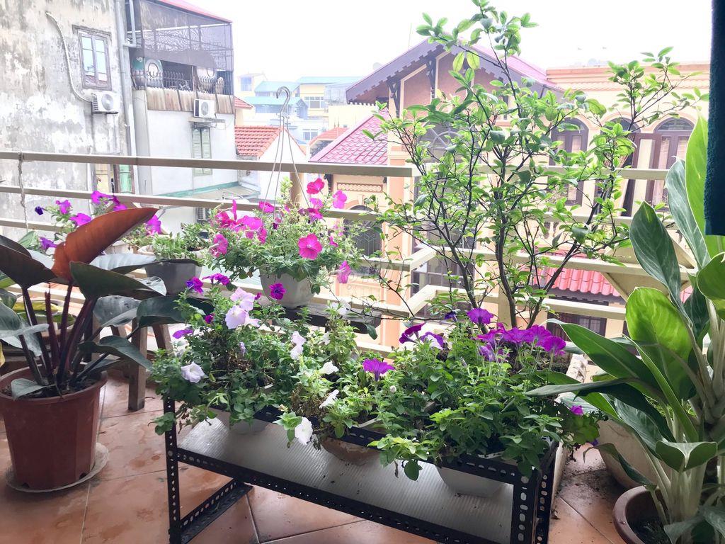 CHO THUÊ PHÒNG TẠI 132 CẦU GIẤY - KHÔNG GIAN SỐNG CHỈN CHU VÀ VĂN MINH