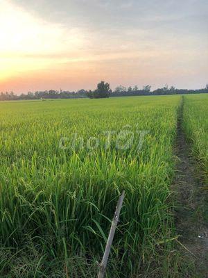 Cần bán gấp lô đất