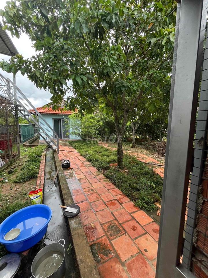 Nhà vườn 2 mặt tiền tâm huyết.