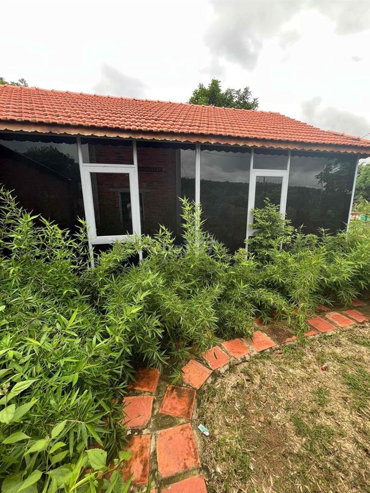 Nhà vườn 2 mặt tiền tâm huyết.