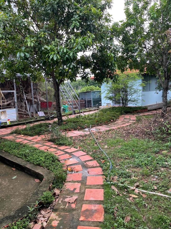 Nhà vườn 2 mặt tiền tâm huyết.