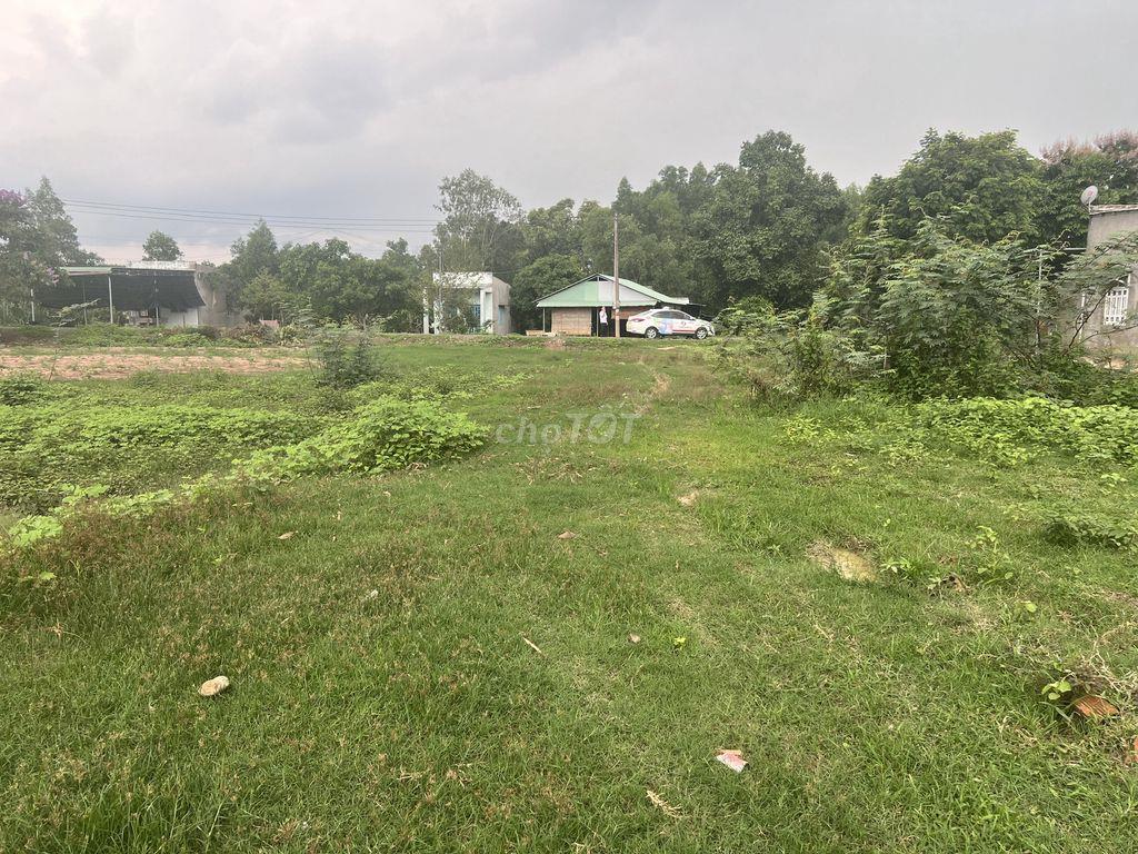 Chính chủ bán đất Phường Hắc Dịch Phú Mỹ