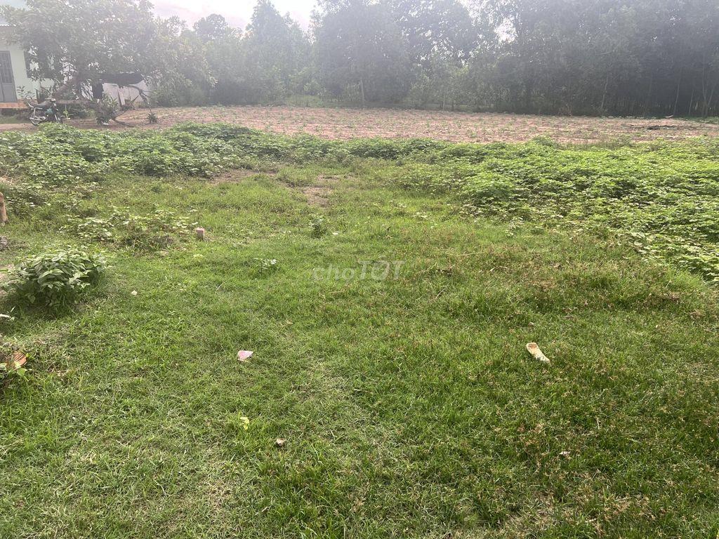 Chính chủ bán đất Phường Hắc Dịch Phú Mỹ