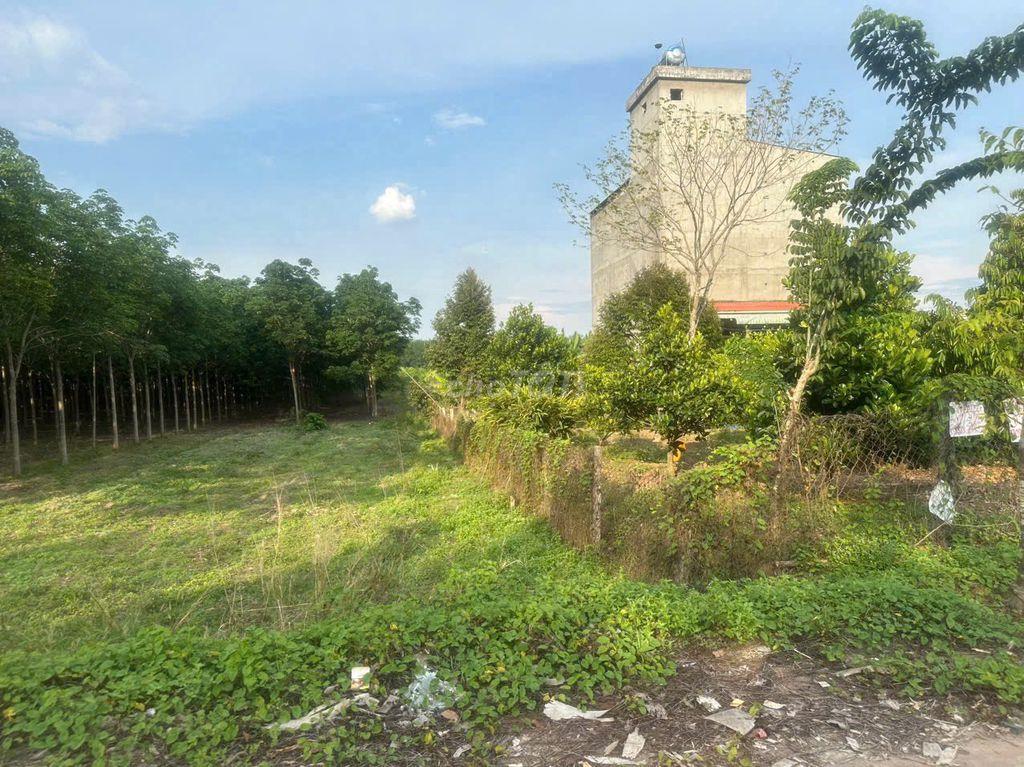 Bán đất mặt tiền tại ấp 3, x. Nha Bích, Chơn Thành, B. Phước