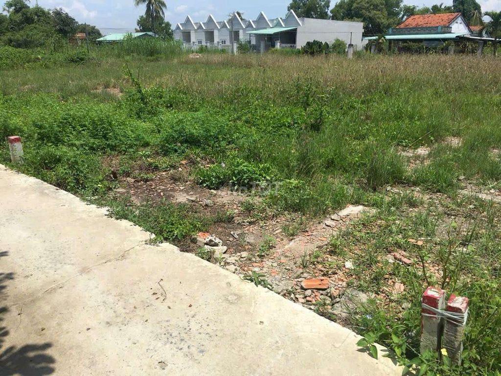 Cần Bán Gấp Đất Cần Giuộc trong 2 ngày